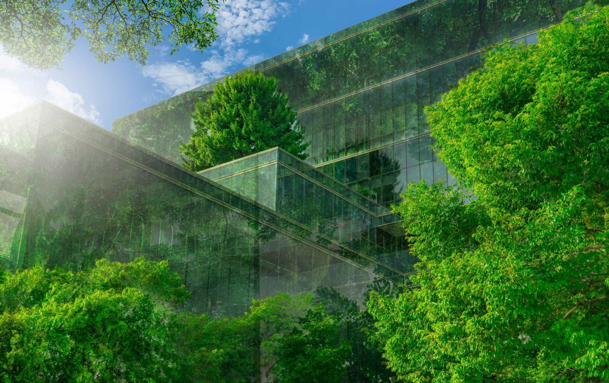 The green façade of an office building