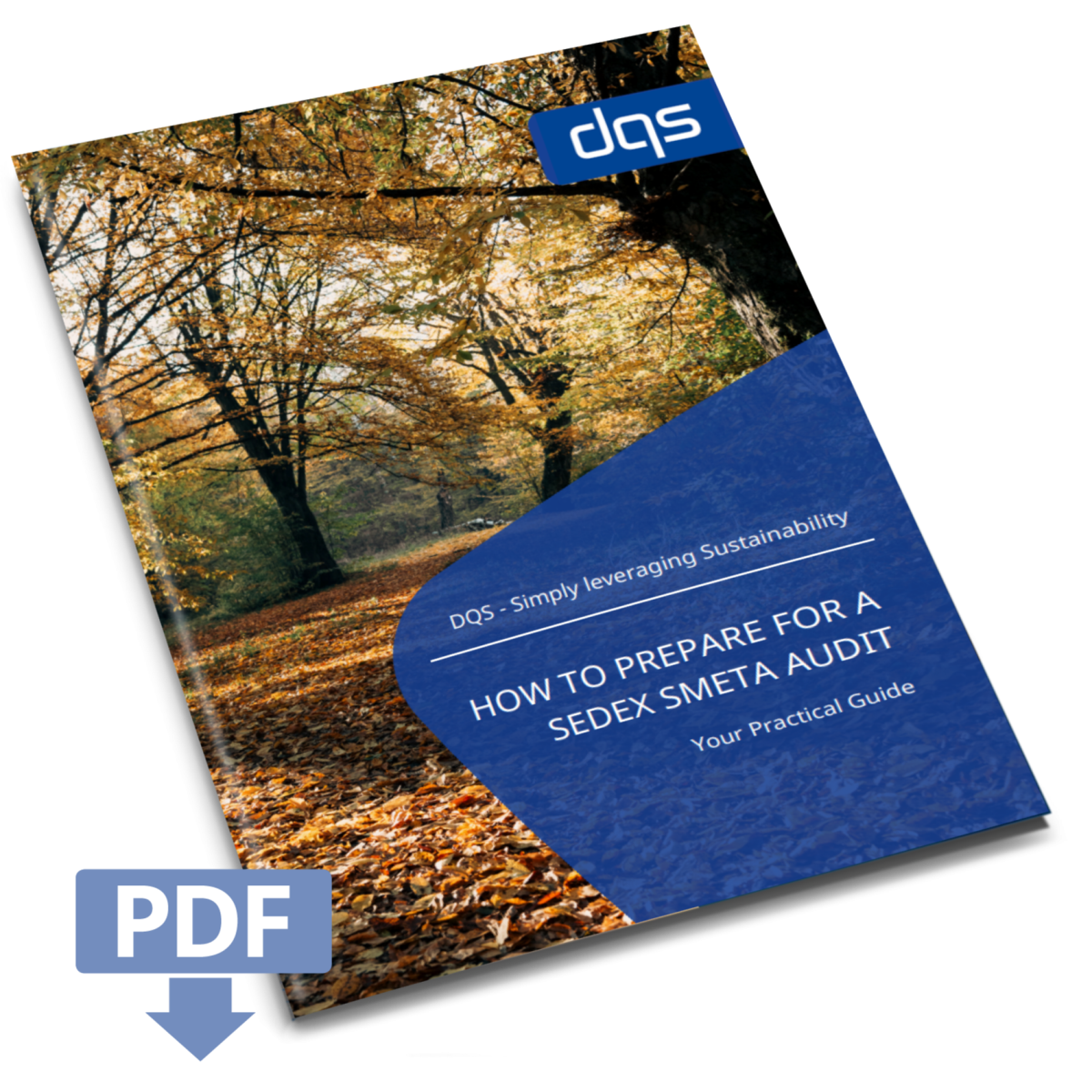 Sedex Whitepaper Vorschaubild English