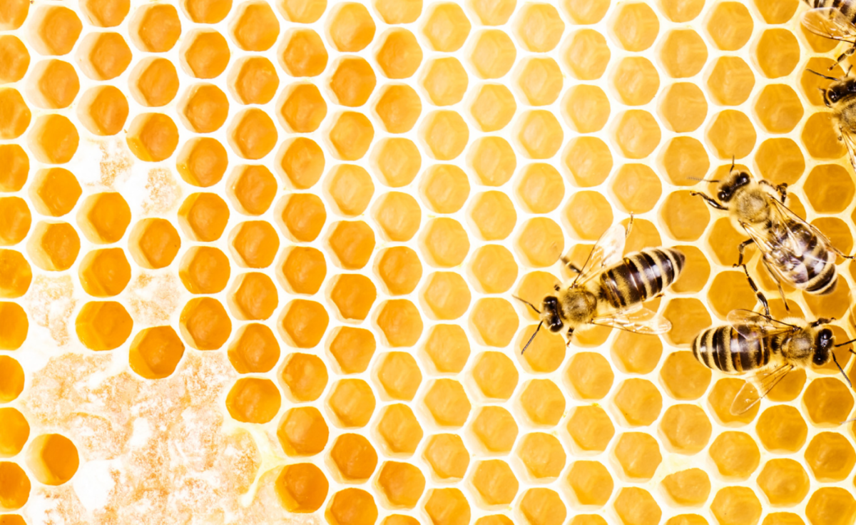 CAPA for Medical Devices: Common Mistakes and How to Avoid Them