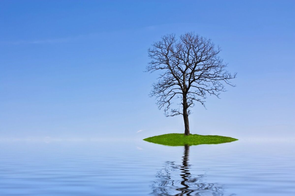 an old tree on a very small green island, surrounded by calm blue water that merges into a blue sky