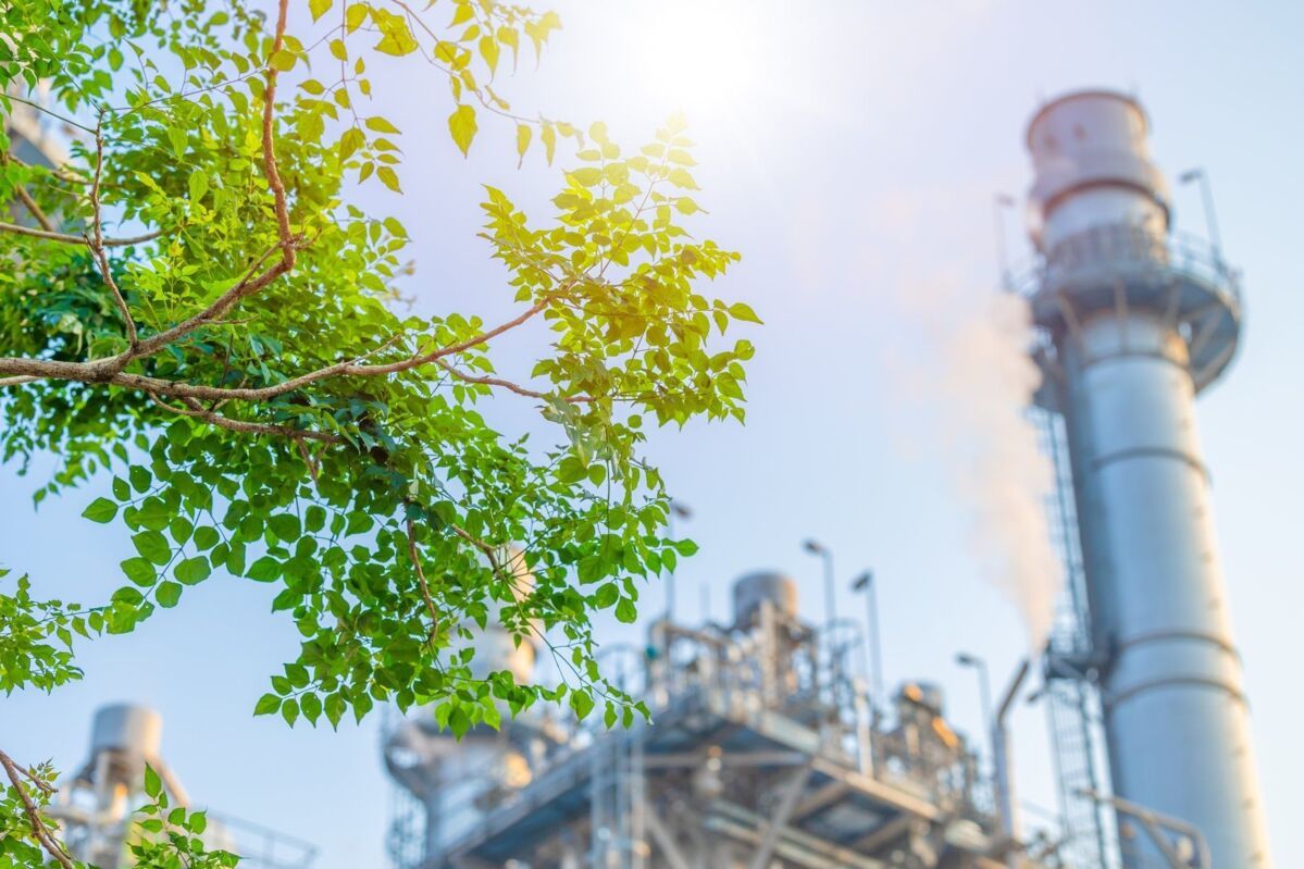 iso-14067-verification-dqs-production plant in the green with leaves in the foreground