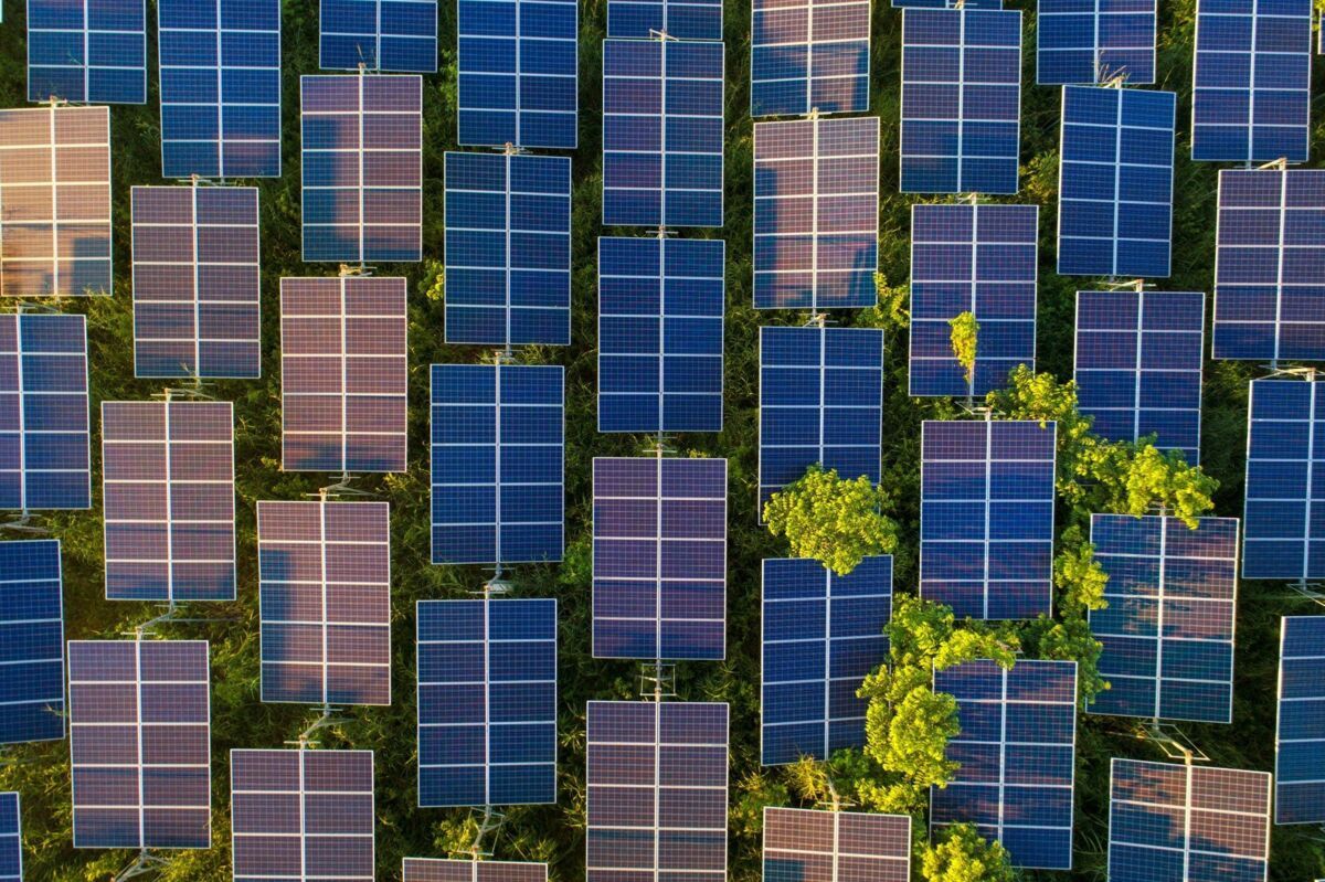energy-related-investment-dqs-photovoltaic solar cells with green tree and sunlight