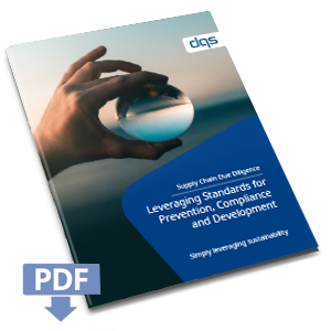 Whitepaper Supply Chain Due Diligence